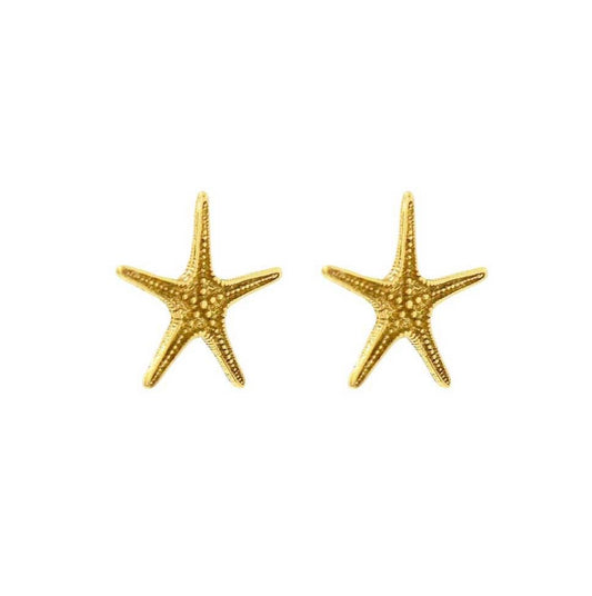 Σκουλαρίκια Καρφωτά 925 Αστερίας