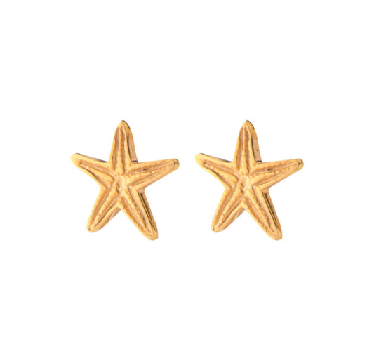 Σκουλαρίκια Καρφωτά 925 Αστερίας